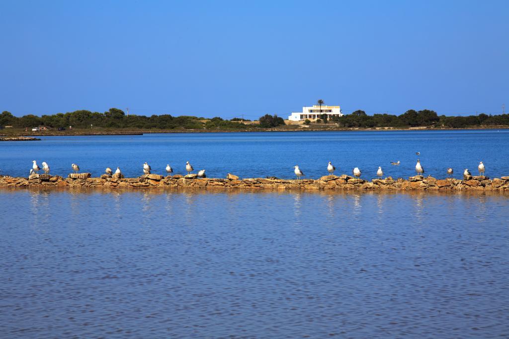Апартаменти Cas Saliners - Sa Revista By Formentera Mar Ла-Савіна Екстер'єр фото